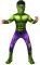 HULK HS [702025]