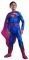 SUPERMAN [881298]