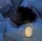   INFANTINO  3-IN-1 SOUNDS & LIGHTS SOOTHING PAL