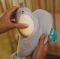   INFANTINO  3-IN-1 SOUNDS & LIGHTS SOOTHING PAL