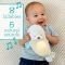   INFANTINO  3-IN-1 SOUNDS & LIGHTS SOOTHING PAL