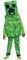 CREEPER VALUE DISGUISE [144489]