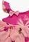  MINERVA FLAMINGO-PALMS  (78-90CM.)-(1-2 )