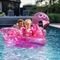   SWIM ESSENTIALS   \