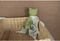    TIKIRI GEMBA THE FROG