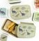   A LITTLE LOVELY COMPANY BENTO LUNCH BOX DINOSAURS