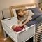 SNUZ POD4 STUDIO  PARIS WHITE