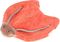 ���������� �������� TIKIRI LADY BUG �� CRINKL...