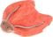 ���������� �������� TIKIRI LADY BUG �� CRINKL...