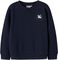  NAME IT NMFVASACHA NREG UNICORN 132463...