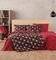     PAUL FRANK 51 160X27...