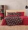   KENTIA 51  PAUL FRANK 160240CM