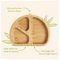     MUNCHKIN BAMBOU DIVIDED PLATE