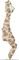  MATCHSTICK MONKEY TEETHER 