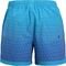   JACK & JONES 12273844 JPSTMAUI JJSWIM GRADIENT AKM SN JNR  (140 CM)
