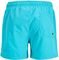   JACK & JONES 12273841 JPSTMAUI JJSWIM DOUBLE LOGO JNR  (152 CM)