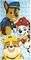  PAW PATROL 70 X 140 
