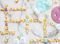   36 -- \'  \' SCRAP COOKING