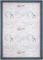   GREENWICH POLO CLUB ESSENTIAL 8852 / (110X150CM)