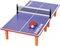   PING-PONG LUNA 60X30X10,7E...