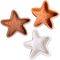  -- SWIM ESSENTIALS SEA STARS