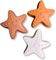  -- SWIM ESSENTIALS SEA STARS