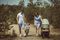   MILU KIDS ATTESO 2 IN 1 20 GREY