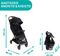  CHICCO  WE  22KG