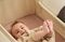   SNUZ   44 X 80 CM  SHEETS-CRIB-BLUSH/DOT 2