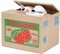 ����������� I-TOTAL XL0251 CAT PLASTIC BOX 12...