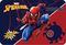  SPIDERMAN 43 X 29 CM