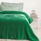 ΚΟΥΒΕΡΤΑ DAS KIDS VELOUR MONH 0293 ΠΡΑΣΙΝΟ 160X220CM ΚΟΥΒΕΡΤΑ DAS KIDS VELOUR MONH 0293 ΠΡΑΣΙΝΟ 160X220CM