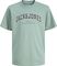 T-SHIRT JACK & JONES JJECALEB VARSITY 1225892...