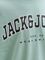 T-SHIRT JACK & JONES JJECALEB VARSITY 12258924 ΑΝΟΙΧΤΟ ΠΡΑΣΙΝΟ (164CM)-(14 ΕΤΩΝ) T-SHIRT JACK & JONES JJECALEB VARSITY 12258924 ΑΝΟΙΧΤΟ ΠΡΑΣΙΝΟ (164CM)-(14 ΕΤΩΝ)