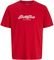 T-SHIRT JACK & JONES JORCATSKILLS 12298348 KO...