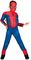 ����� SPIDERMAN DELUXE RUBIE'S [300624]