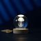 ����� I-TOTAL XL2716D CRYSTAL BALL JELLYFISH ...