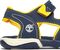 ΣΑΝΔΑΛΙΑ TIMBERLAND ADVENTURE SEEKER TB02484A 484 ΜΠΛΕ (EU:25) ΣΑΝΔΑΛΙΑ TIMBERLAND ADVENTURE SEEKER TB02484A 484 ΜΠΛΕ (EU:25)