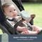������������ ������ ���������������� DREAMBABY USB SAGE - L2399