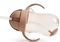 ΠΟΤΗΡΙ ΜΕ ΚΑΛΑΜΑΚΙ MUNCHKIN TIP & SIP DOG 296 ML ΠΟΤΗΡΙ ΜΕ ΚΑΛΑΜΑΚΙ MUNCHKIN TIP & SIP DOG 296 ML